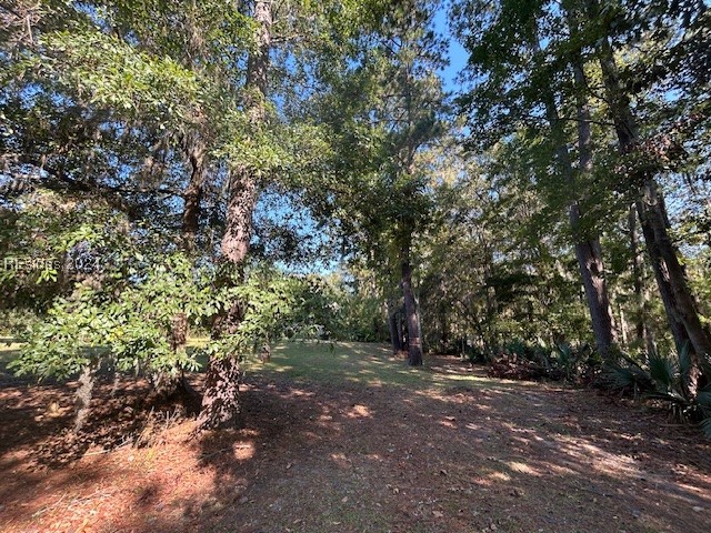 236 Farnsleigh Avenue Bluffton, SC 29910 - Photo 3 of 7 View of landscape