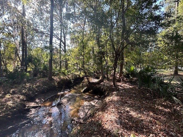 236 Farnsleigh Avenue Bluffton, SC 29910 - Photo 4 of 7 View of nature