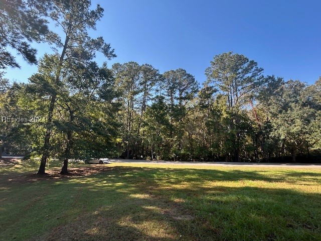 236 Farnsleigh Avenue Bluffton, SC 29910 - Photo 5 of 7 View of yard