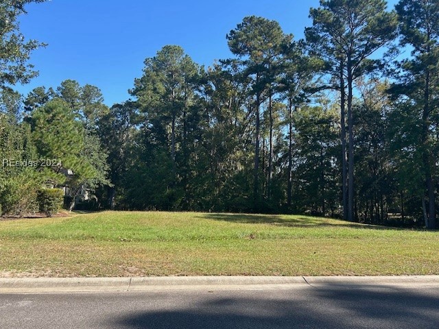 236 Farnsleigh Avenue Bluffton, SC 29910 - Photo 7 of 7 View of road