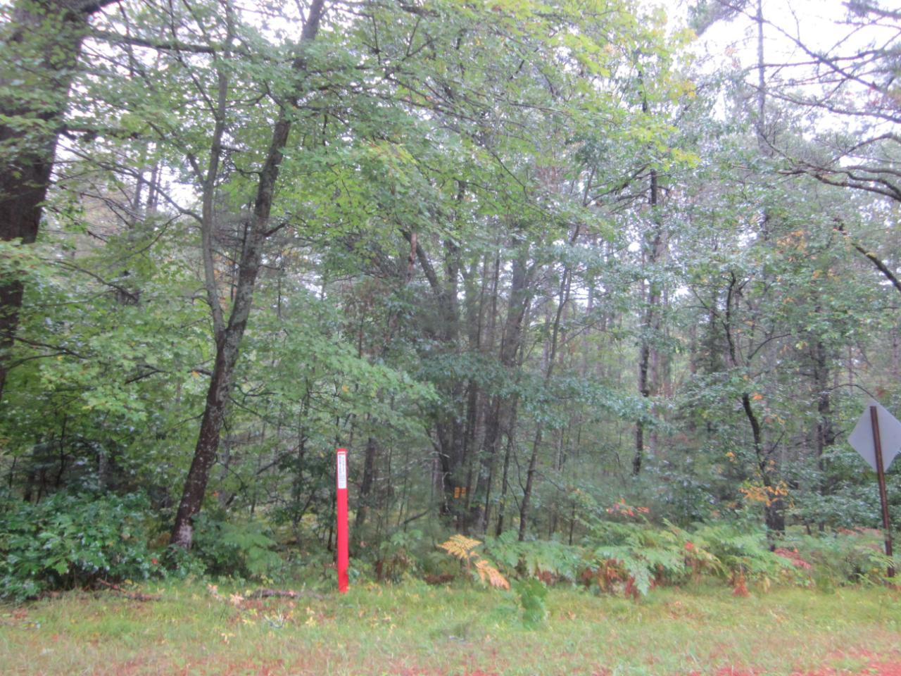 On West Buckatabon Road Conover, WI 54519 - Photo 4 of 4 Gallery Image 4