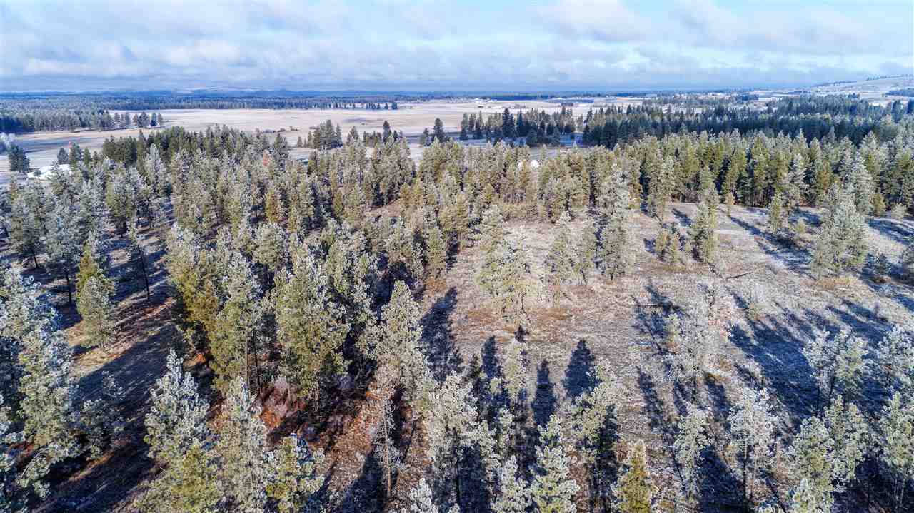 24 West Cameron Road Spangle, WA 99031 - Photo 14 of 16