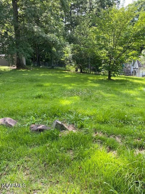 124 Austin Road Wartburg, TN 37887 - Photo 4 of 4 Gallery Image 4