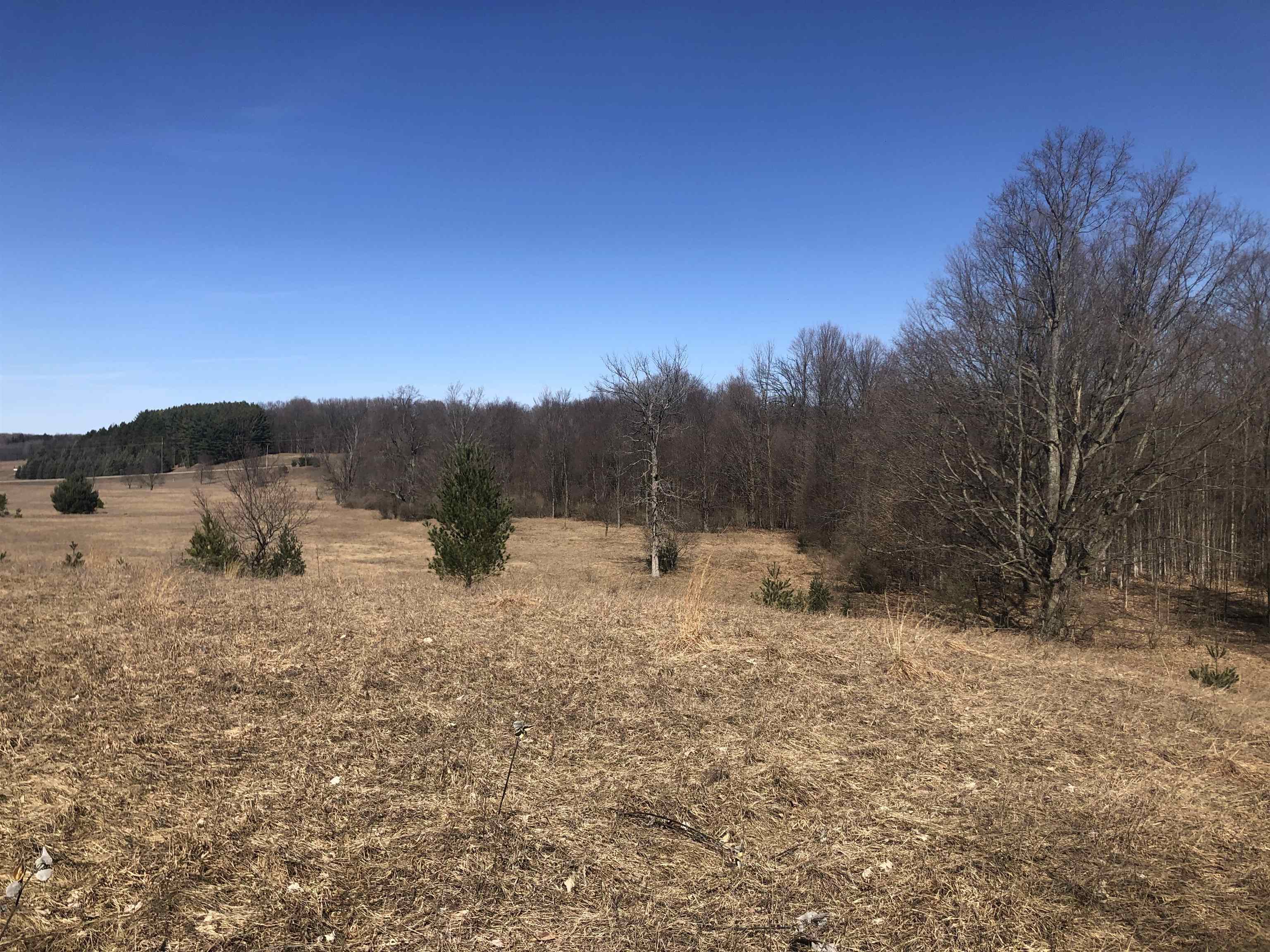 9 South 9 Mile Road Copemish, MI 49625 - Photo 28 of 35