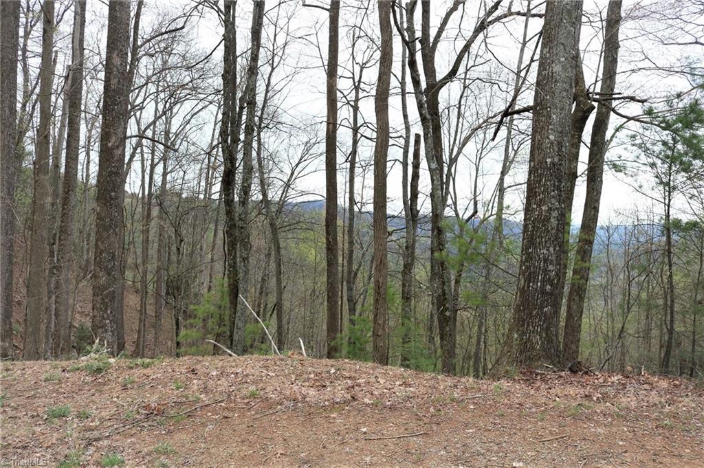 Tbd Elk Ridge Road Ferguson, NC 28624 - Photo 6 of 10
