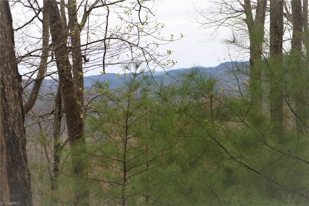 Tbd Elk Ridge Road Ferguson, NC 28624 - Photo 7 of 10