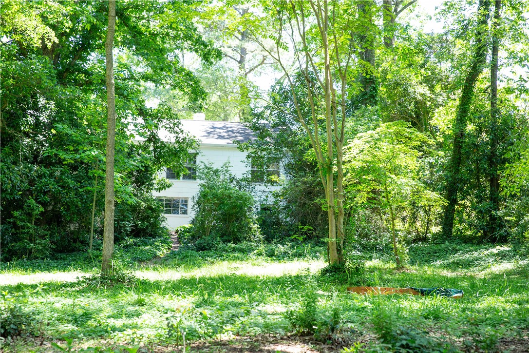 Huge backyard that gives everyone plenty of room t