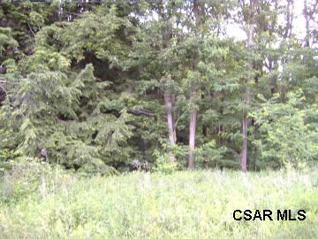 Turkeypath Road Summerhill, PA 15958 - Photo 1 of 1 Gallery Image 1