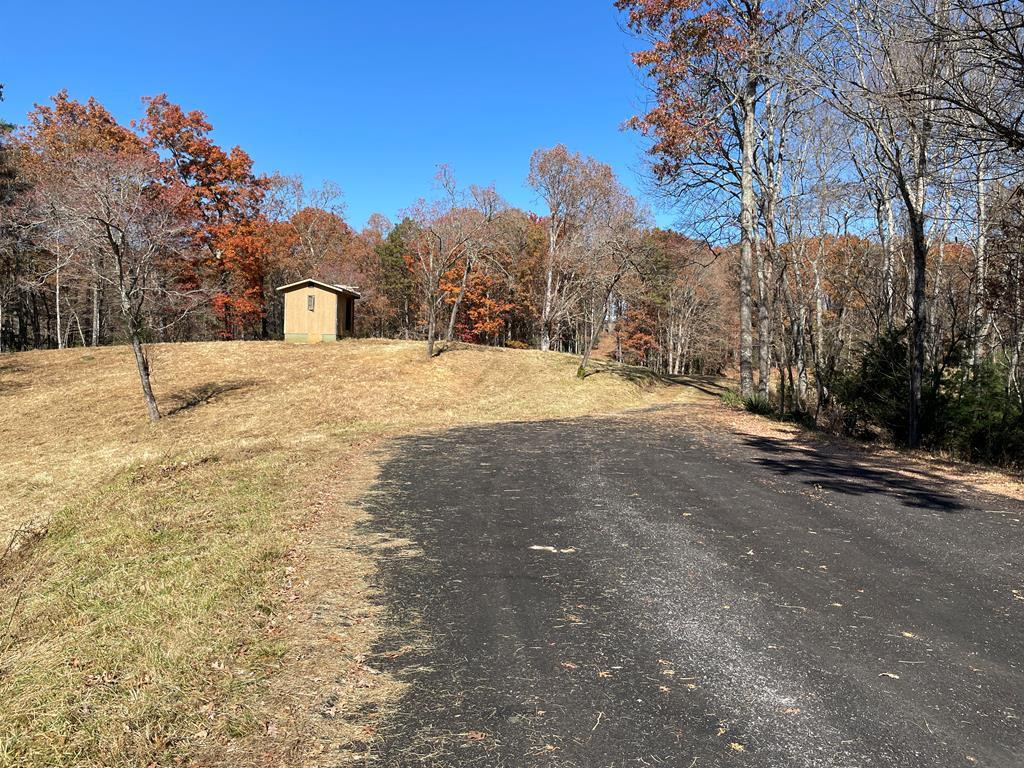 509 Martins Creek Ridge Road Murphy, NC 28906 - Photo 2 of 13