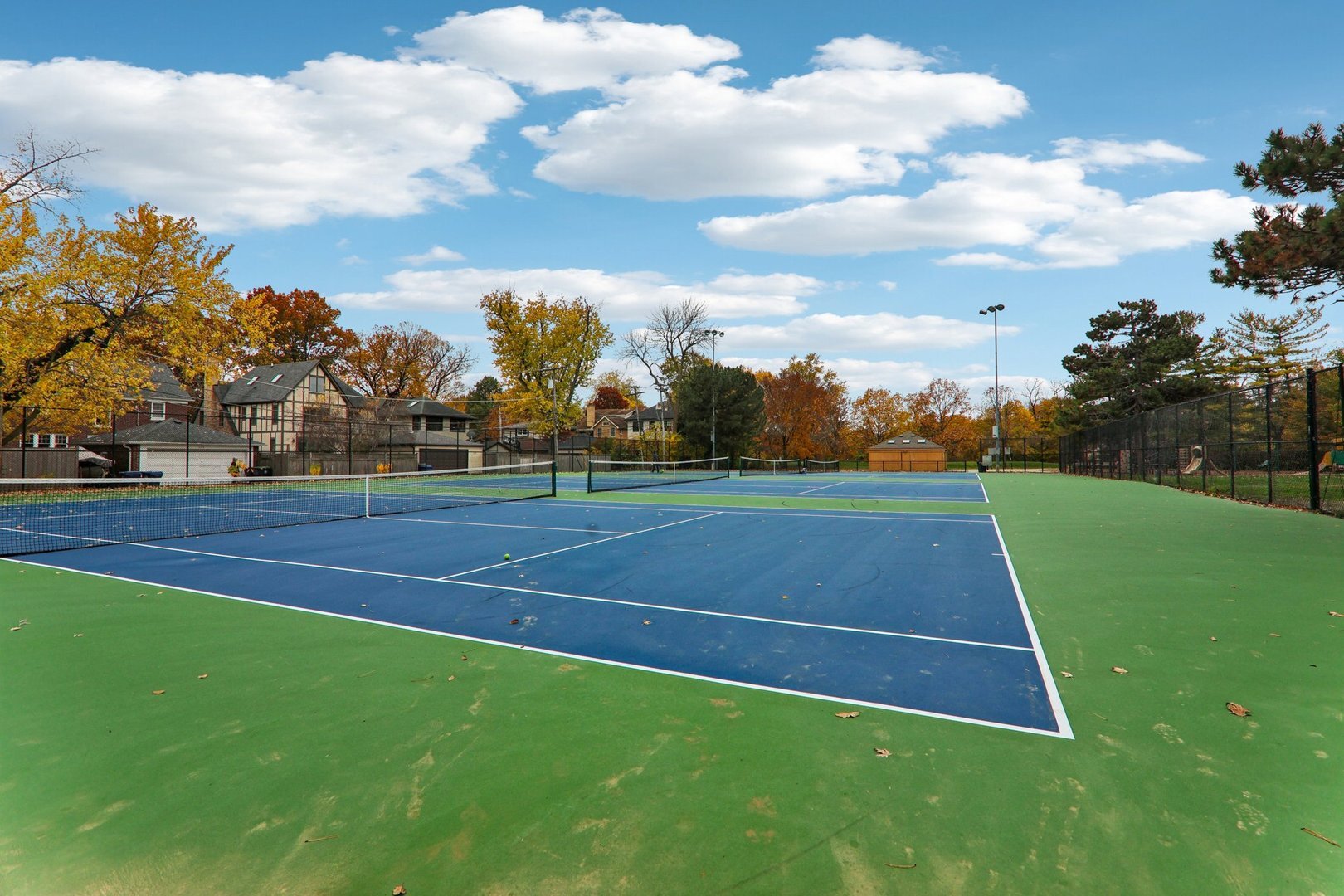 1115 Colfax Street Evanston, IL 60201 - Photo 54 of 63