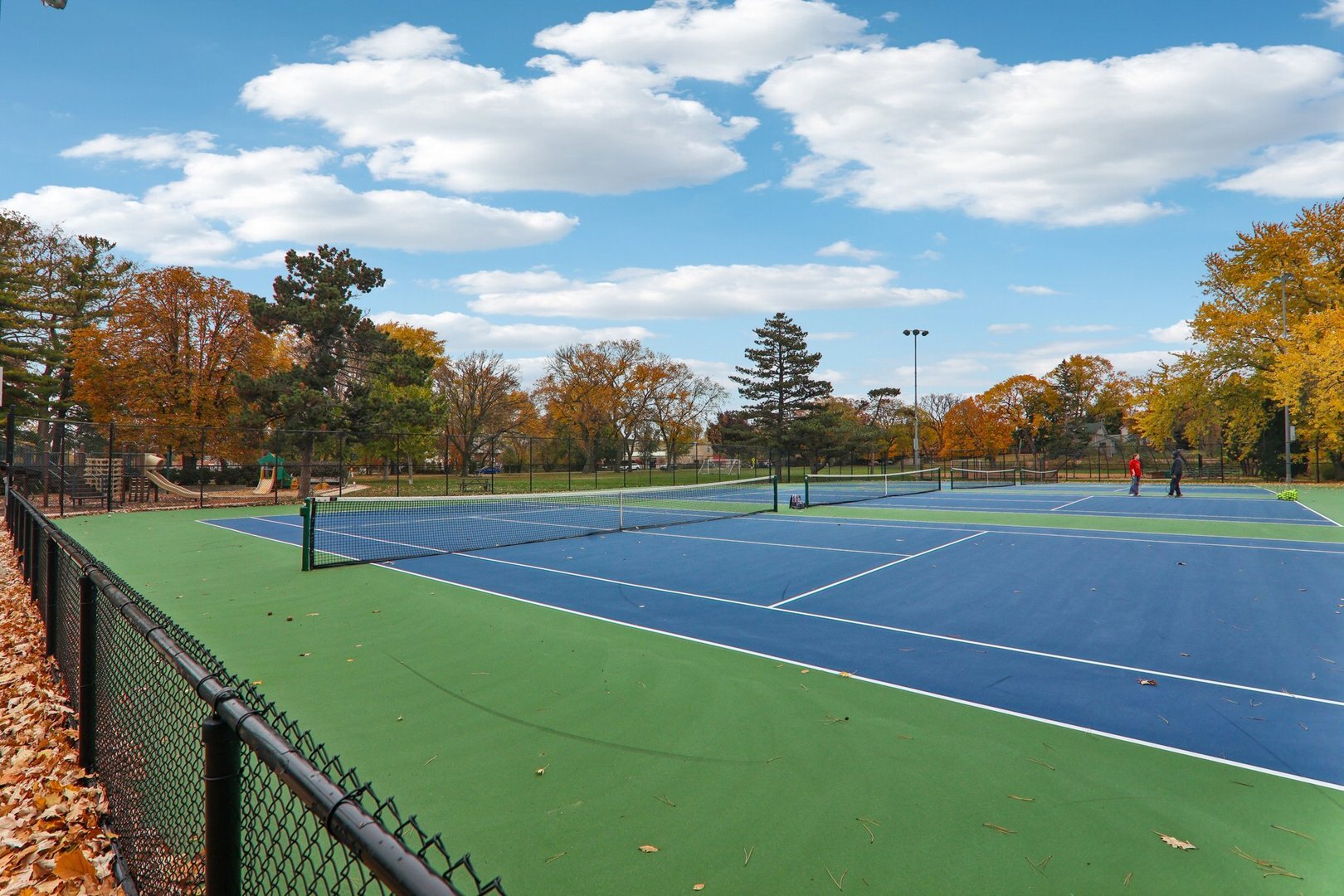 1115 Colfax Street Evanston, IL 60201 - Photo 55 of 63