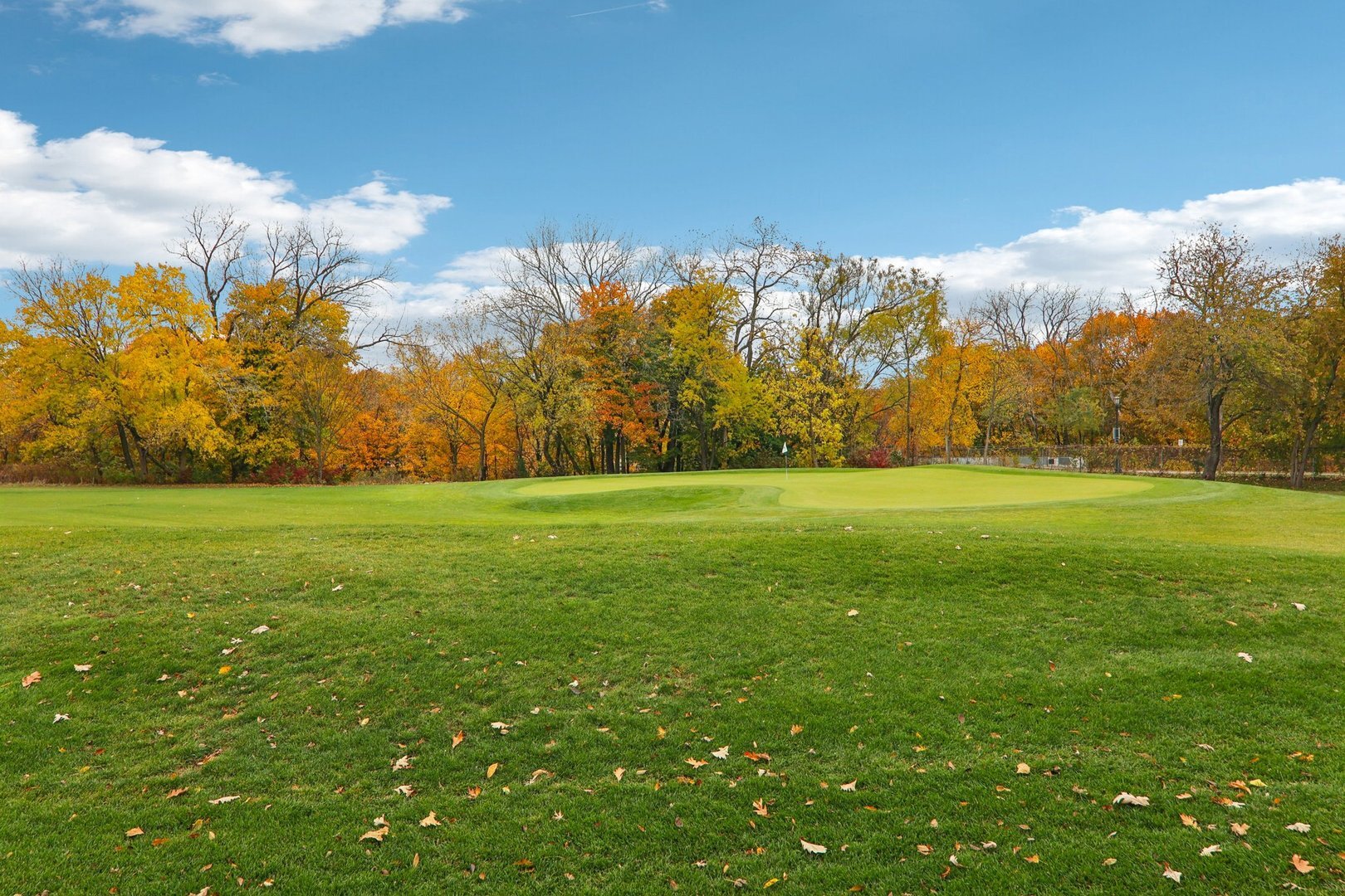 1115 Colfax Street Evanston, IL 60201 - Photo 57 of 63