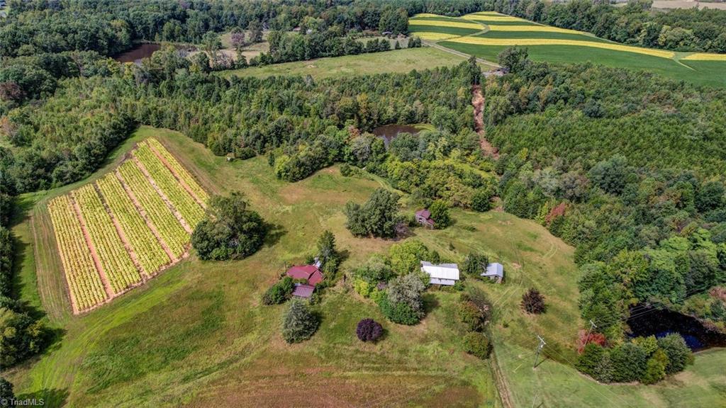 2094 Ashland Road Ruffin, NC 27326 - Photo 11 of 24