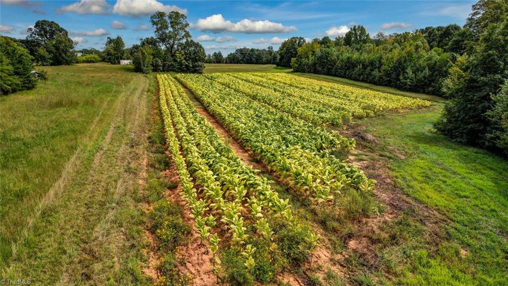 2094 Ashland Road Ruffin, NC 27326 - Photo 14 of 24