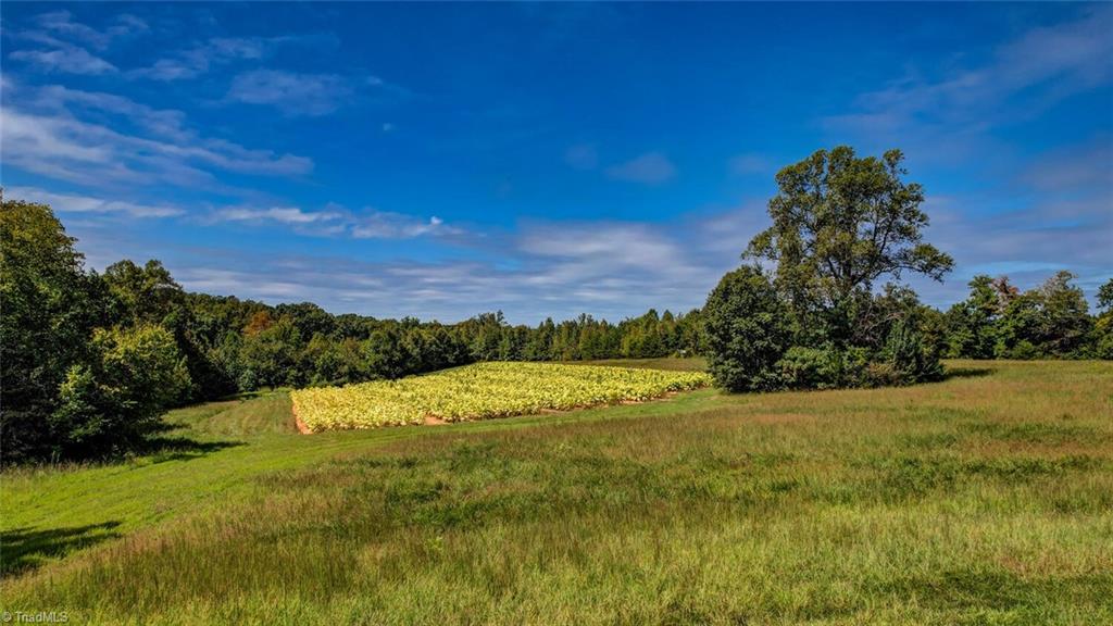 2094 Ashland Road Ruffin, NC 27326 - Photo 15 of 24