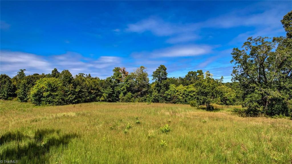 2094 Ashland Road Ruffin, NC 27326 - Photo 17 of 24