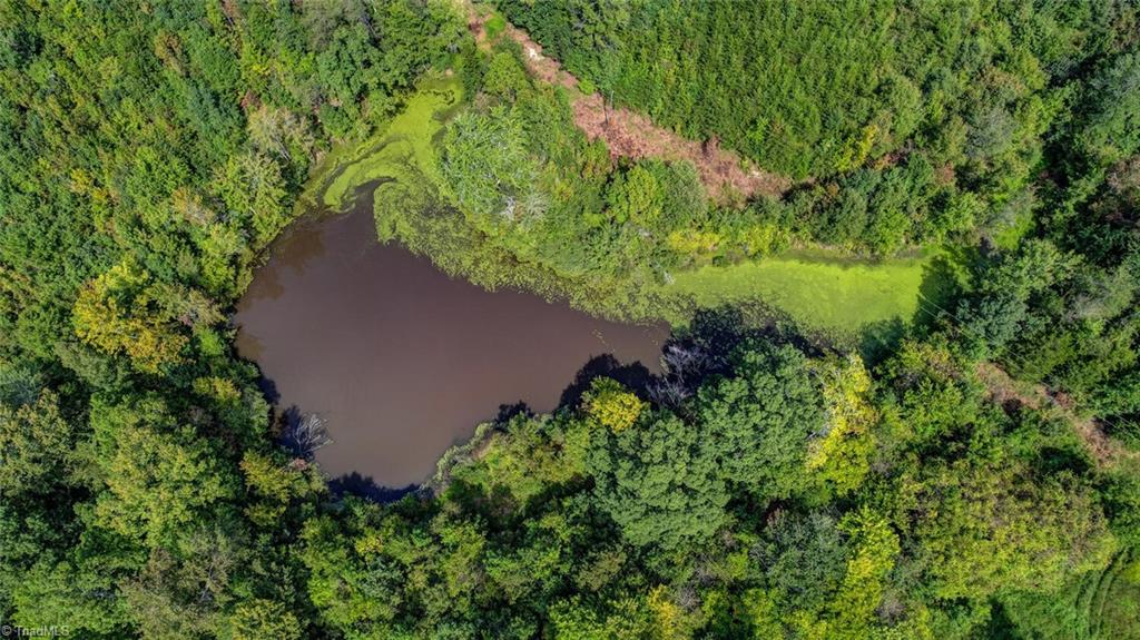 2094 Ashland Road Ruffin, NC 27326 - Photo 8 of 24