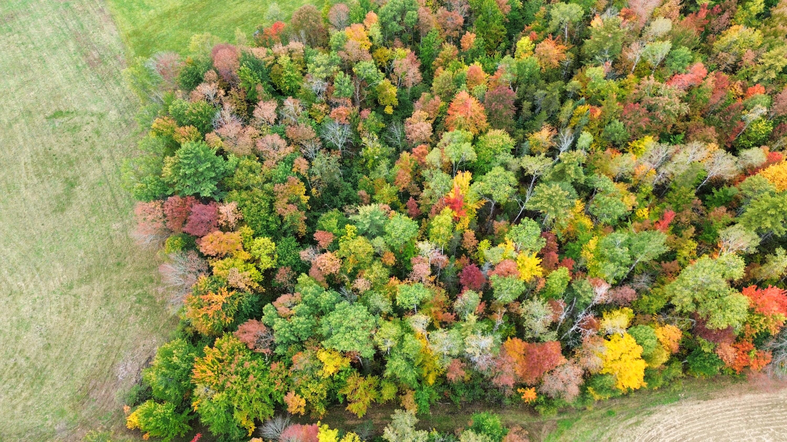 7-013 Sprague Road Charleston, ME 04422 - Photo 5 of 9 dji_fly_20260930_133200_102_179078897020