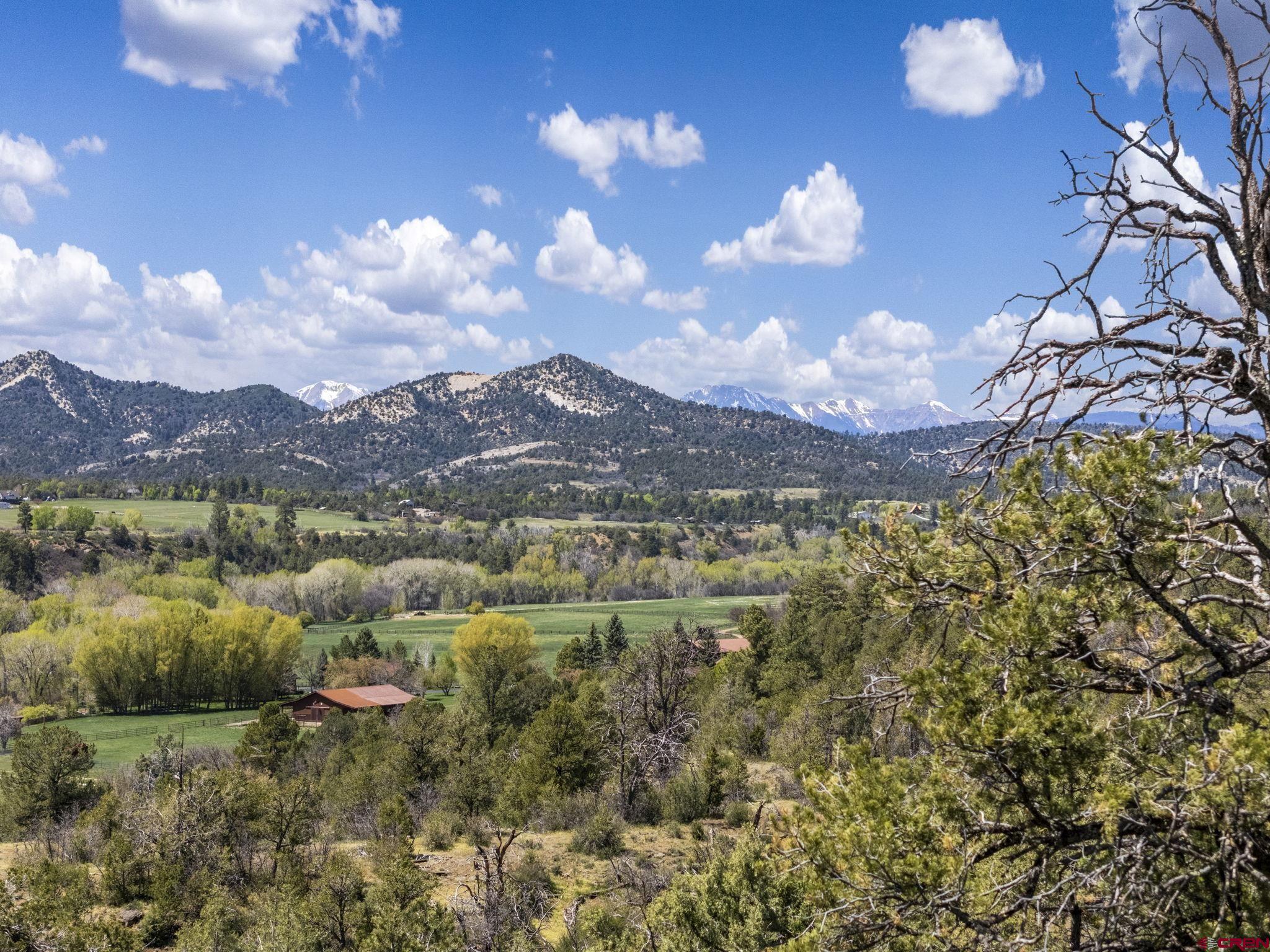 45 Pine Ridge Road Durango, CO 81301 - Photo 4 of 44