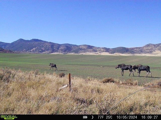 955-943 Hegstrom Road Grace, ID 83241 - Photo 39 of 45 Gallery Image 39