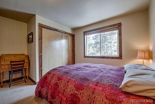 2180 Mullenville Road Fairplay, CO 80440 - Photo 11 of 26 Gallery Image 11