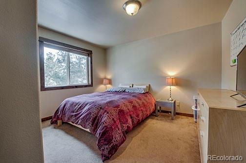 2180 Mullenville Road Fairplay, CO 80440 - Photo 12 of 26 Gallery Image 12
