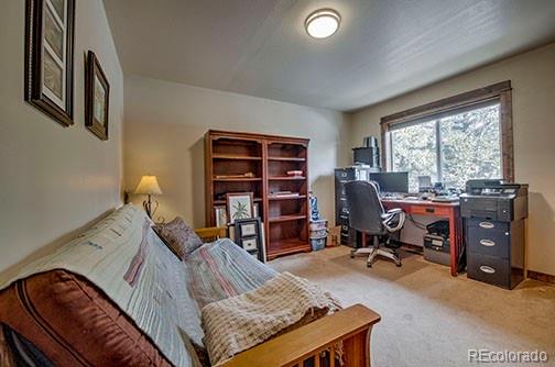 2180 Mullenville Road Fairplay, CO 80440 - Photo 13 of 26 Gallery Image 13