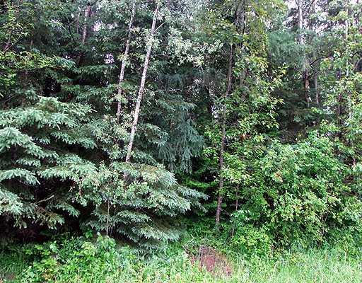 Lot 27 Sam Everett Road Fort Fairfield, ME 04742 - Photo 5 of 10 Land.