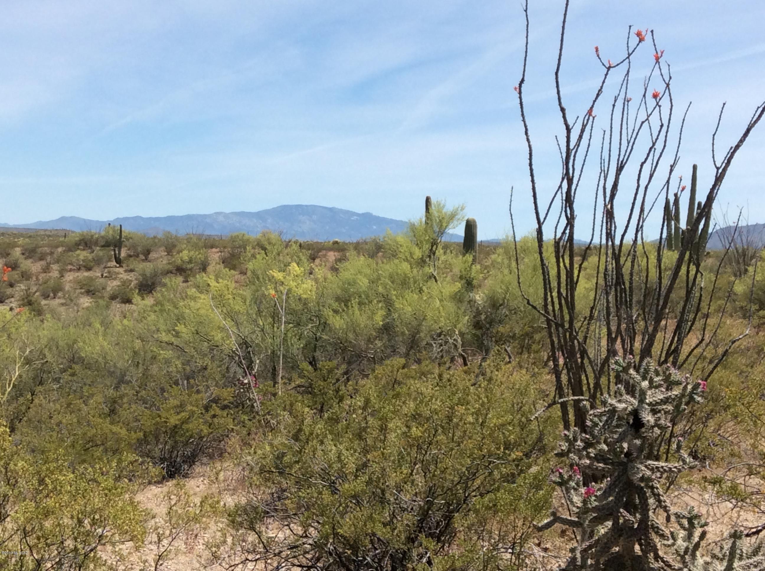 Peppersauce Mine Road San Manuel, AZ 85631 - Photo 18 of 33