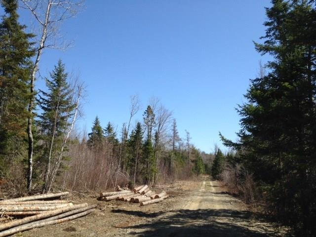 27 Ken Jordan Road Ellsworth, ME 04605 - Photo 12 of 15 Land/lot