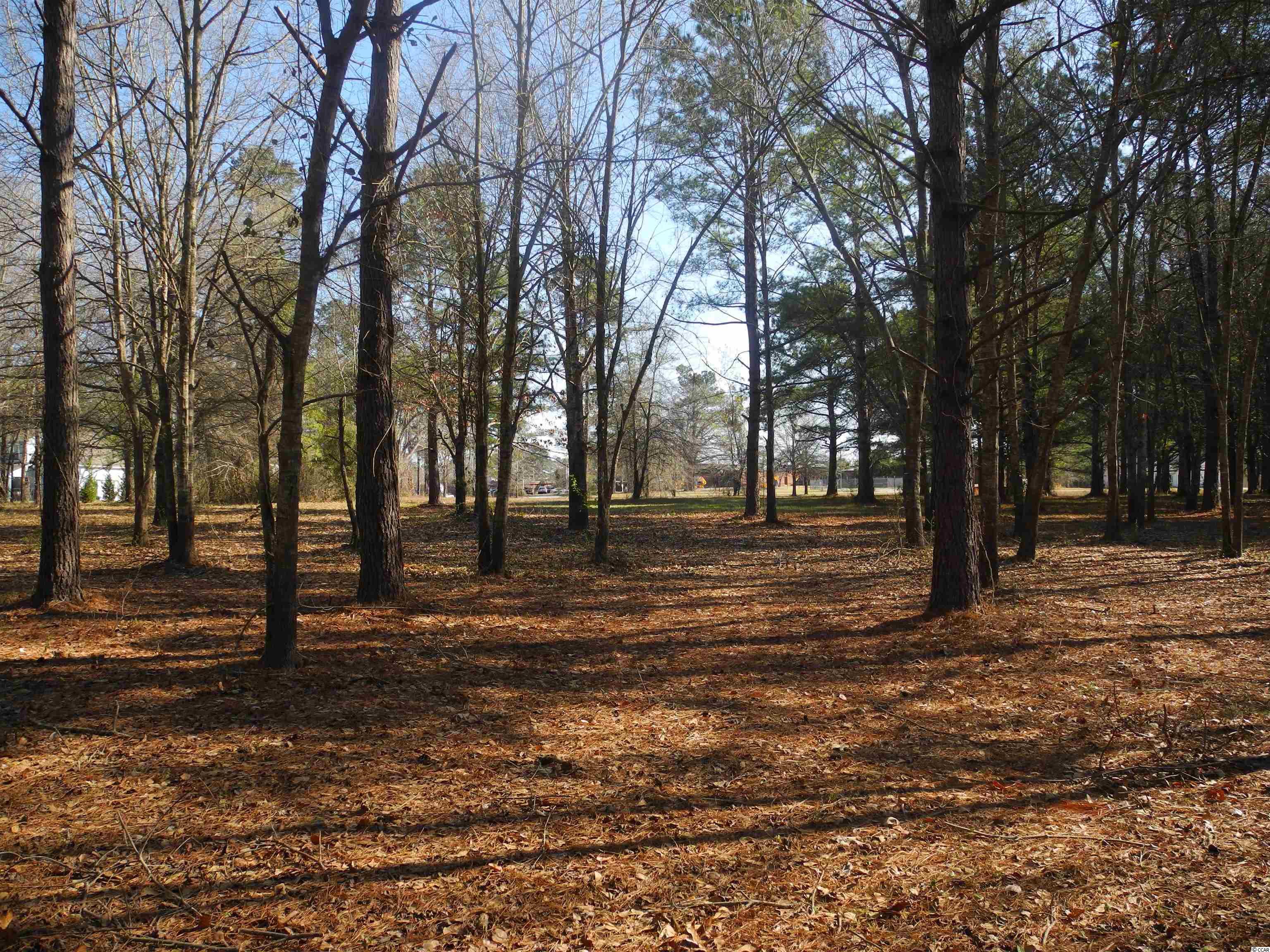 2860 Red Bluff Road Loris, SC 29569 - Photo 11 of 12 Gallery Image 11