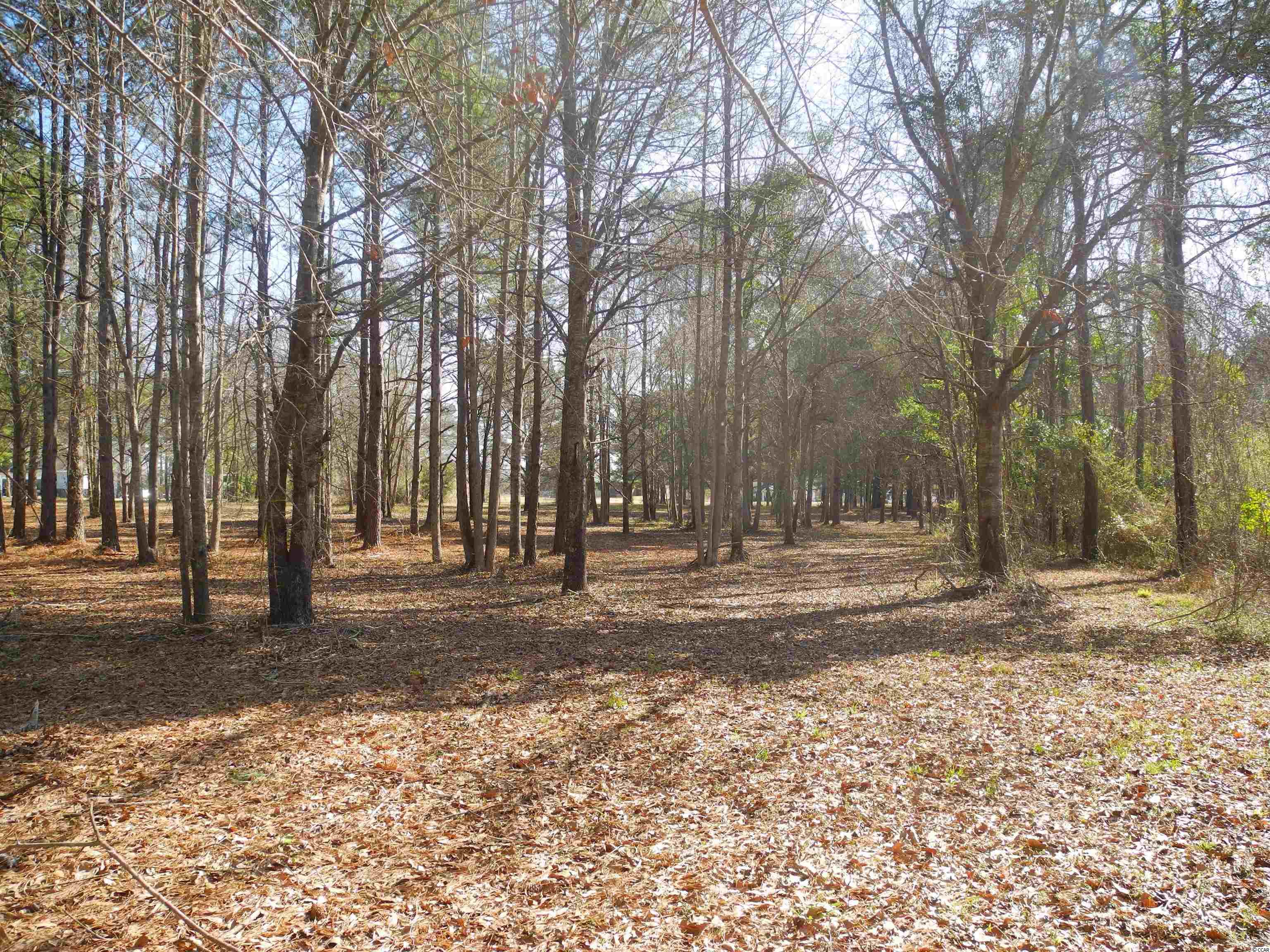 2860 Red Bluff Road Loris, SC 29569 - Photo 12 of 12 Gallery Image 12
