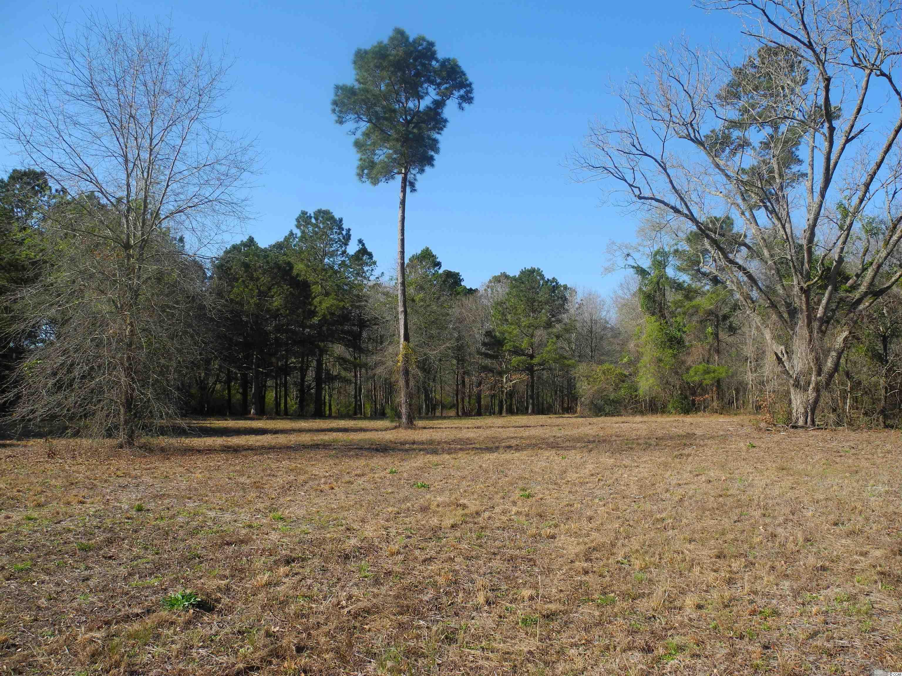 2860 Red Bluff Road Loris, SC 29569 - Photo 9 of 12 Gallery Image 9