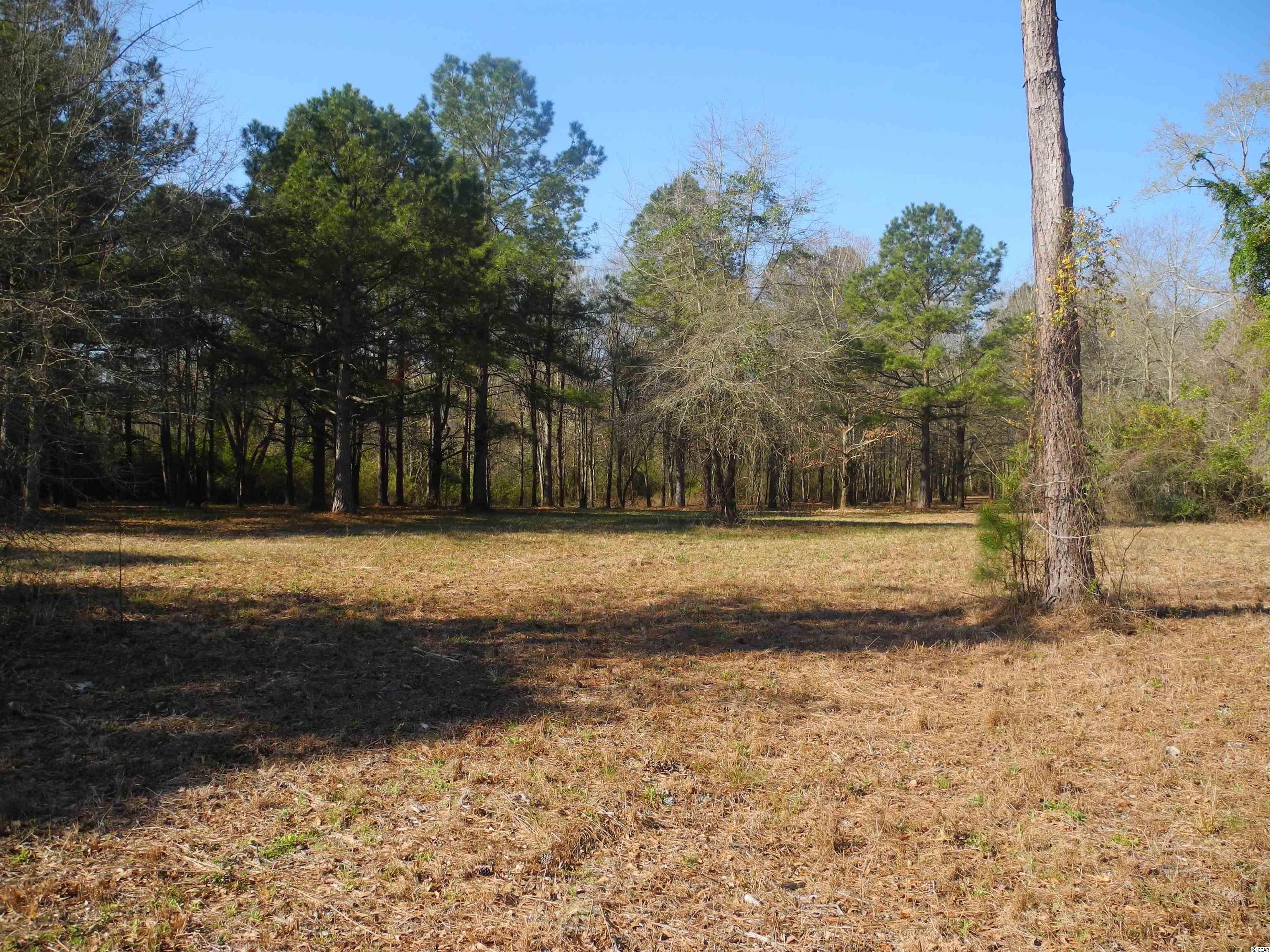 2860 Red Bluff Road Loris, SC 29569 - Photo 10 of 12 Gallery Image 10