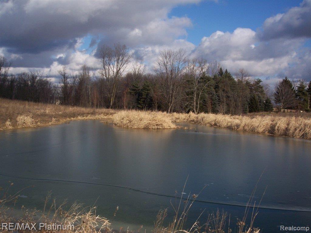 14440 South Nohel Road Perry, MI 48872 - Photo 9 of 25 SWIM-FISH-FLOAT