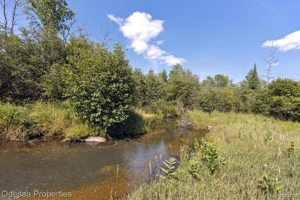 7440 Miller Road Whittemore, MI 48770 - Photo 42 of 60