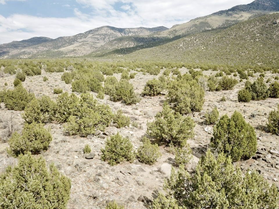 10 Acres Montello, NV 89830 - Photo 3 of 5