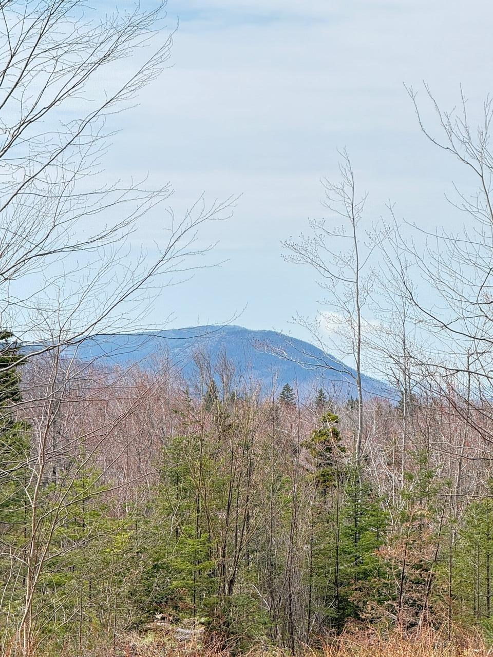 Lot 61 Taylor Woods (mountain View) Road Temple, ME 04984 - Photo 5 of 12 image8