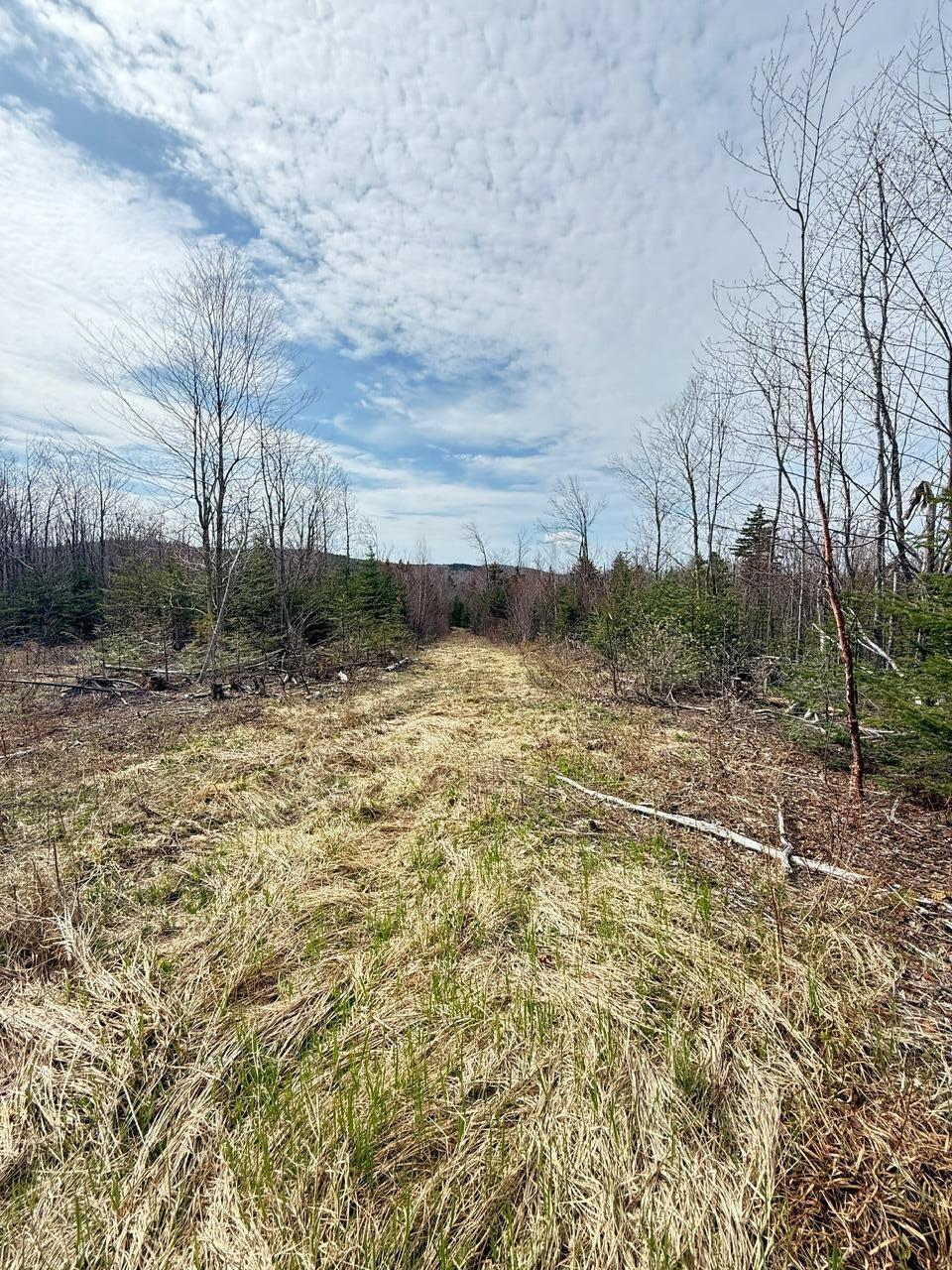 Lot 61 Taylor Woods (mountain View) Road Temple, ME 04984 - Photo 6 of 12 image9