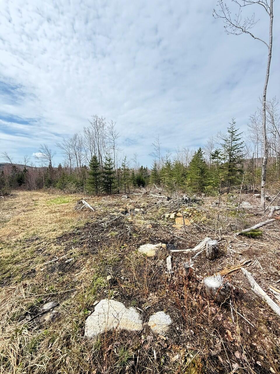 Lot 61 Taylor Woods (mountain View) Road Temple, ME 04984 - Photo 8 of 12 image12