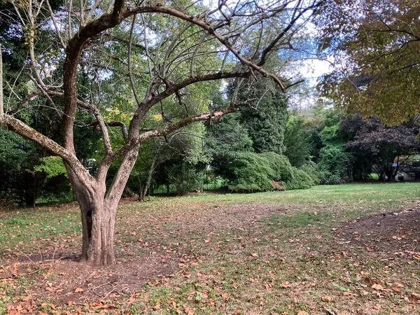$2,245,000 | 0 Glenoe Road, Chestnut Hill, MA 02467