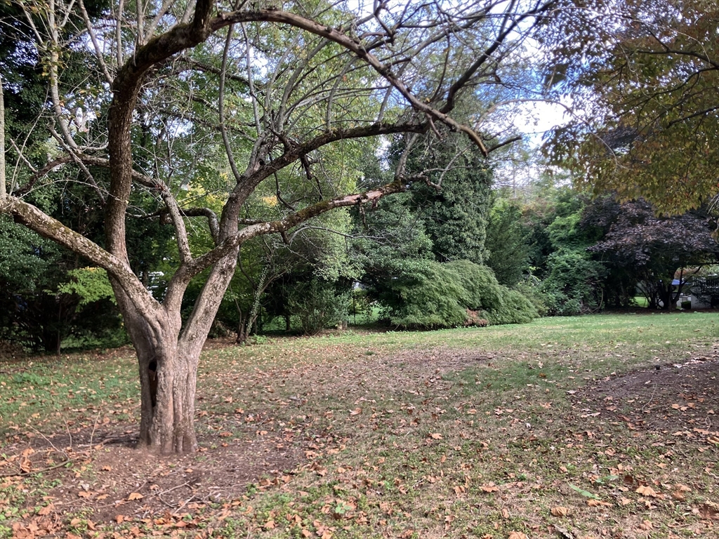 0 Glenoe Road Chestnut Hill, MA 02467 - Photo 1 of 6 Gallery Image 1