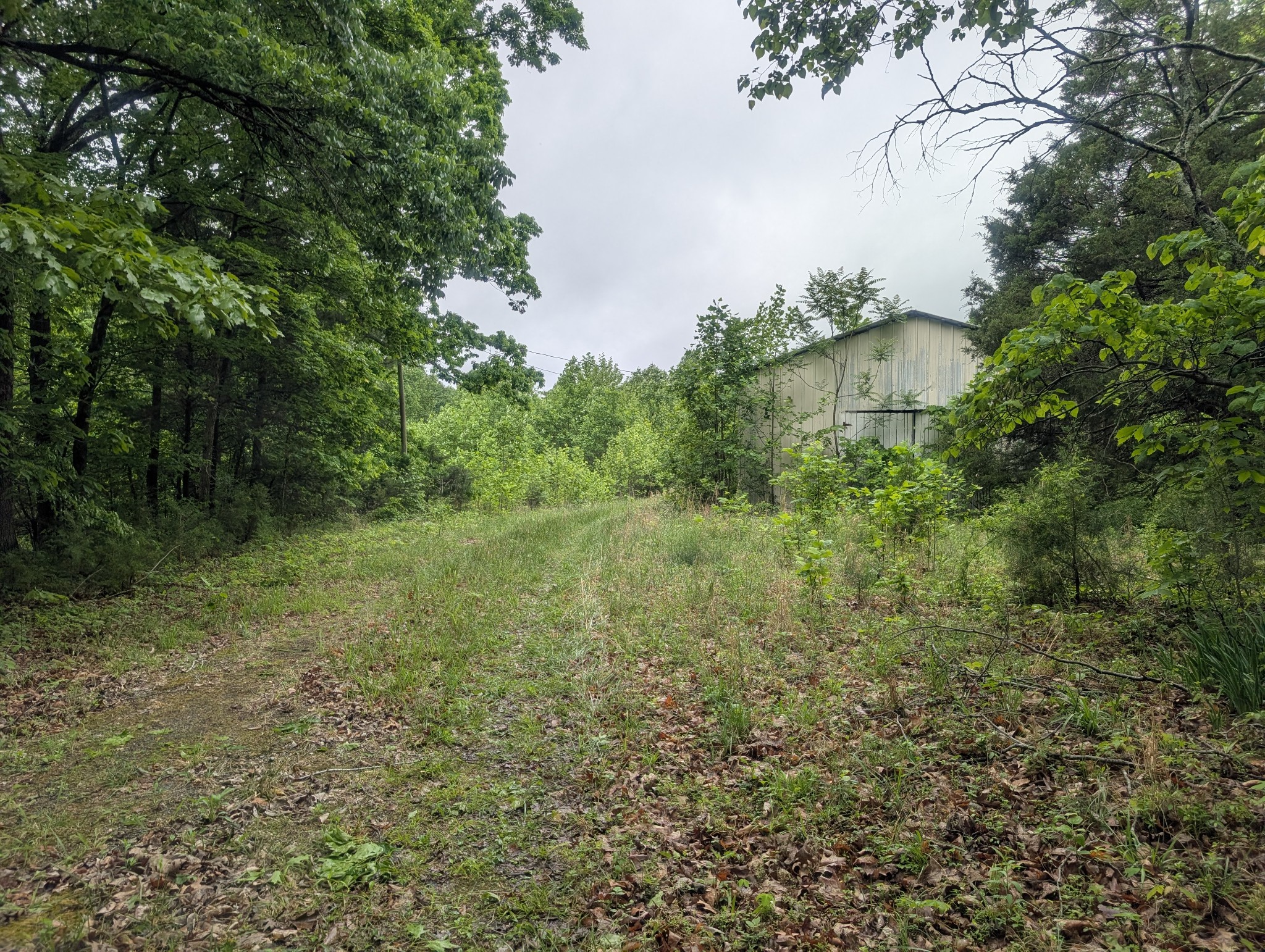 1475 Holland Road Lafayette, TN 37083 - Photo 1 of 3