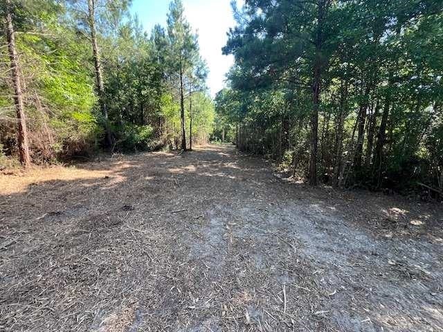 10-ac Laird Road Florala, AL 36442 - Photo 19 of 21 Gallery Image 19