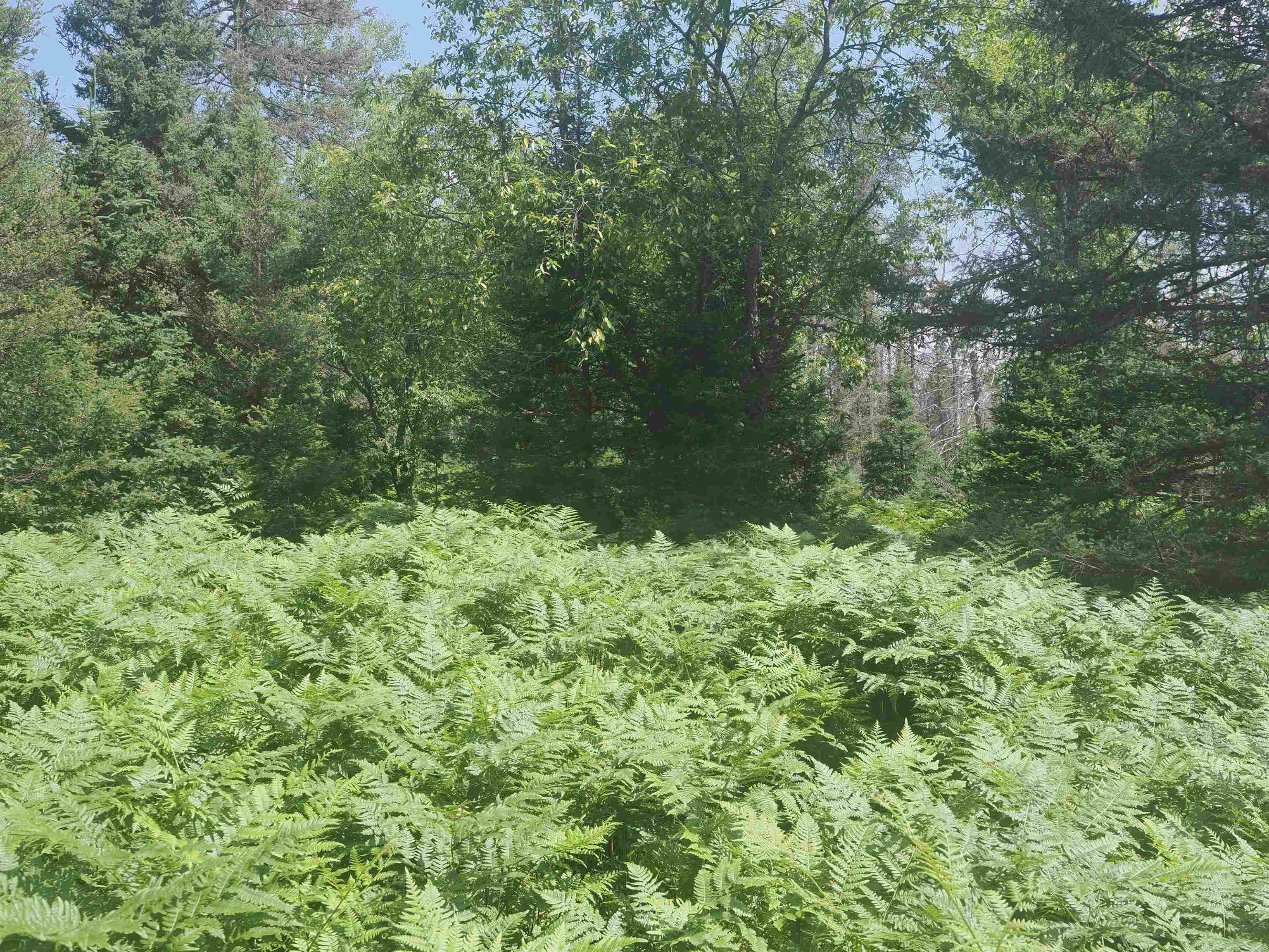 0 County Road Ishpeming, MI 49849 - Photo 68 of 85