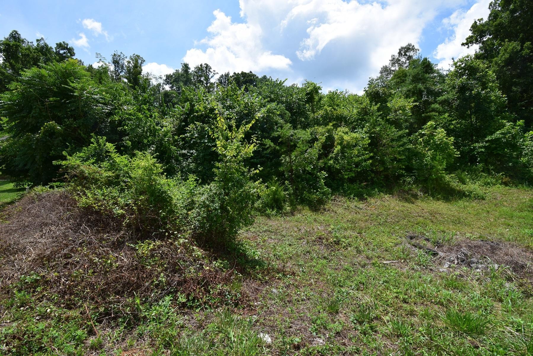 1194 Case View Road Dandridge, TN 37725 - Photo 1 of 1 Gallery Image 1