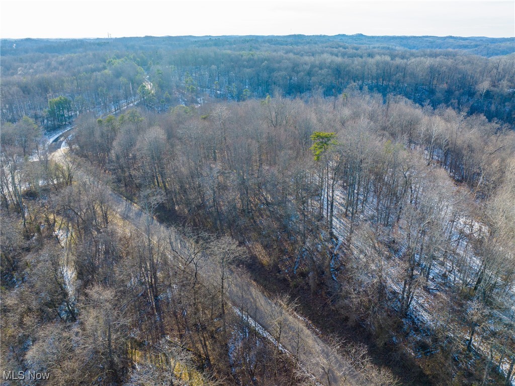 9 County Road New Matamoras, OH 45767 - Photo 45 of 48 View of property location with a heavily wooded area