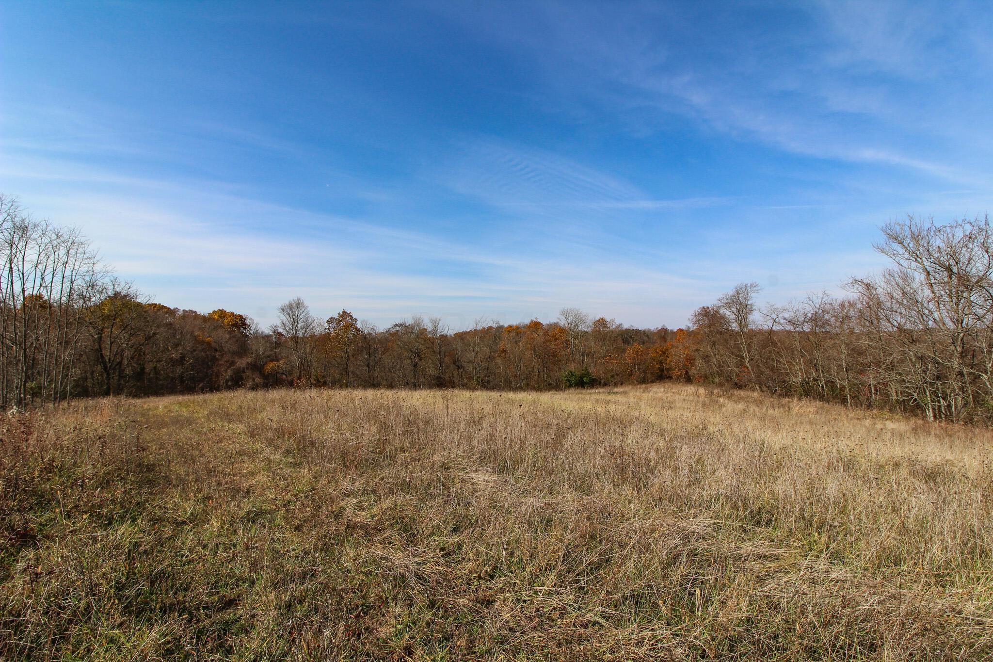 53166 Highway 681 Reedsville, OH 45772 - Photo 4 of 34 Lott 4
