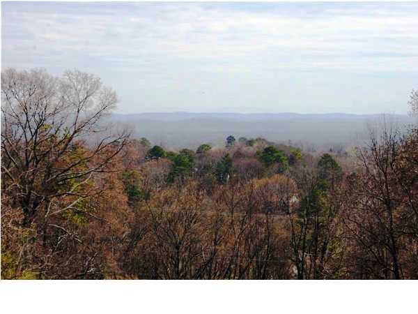 592 South Crest Road Chattanooga, TN 37404 - Photo 14 of 14 Additional Photo