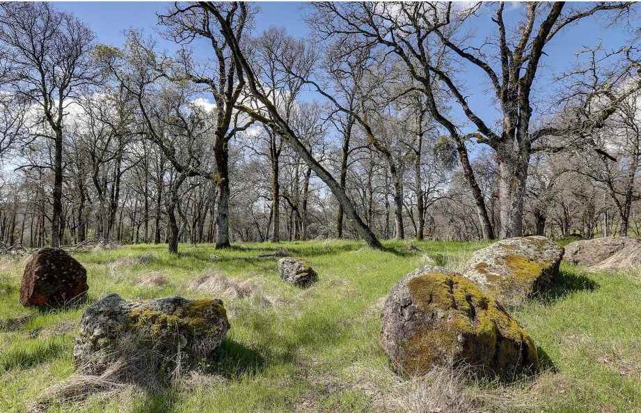 23826 Fagerlie Road Auburn, CA 95602 - Photo 12 of 21 Gallery Image 12